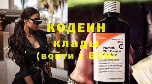 шишки Галич