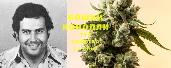 шишки Галич