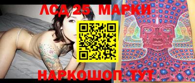 гидропоника Новозыбков