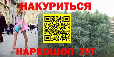 гашик Новокубанск