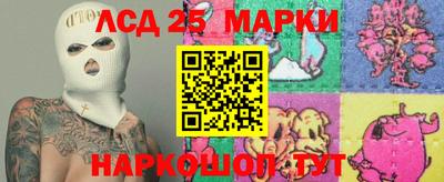 гашик Новокубанск