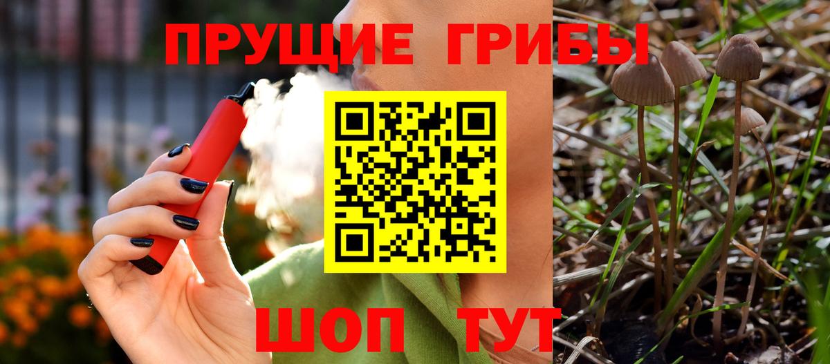 Галлюциногенные грибы мухоморы Барабинск